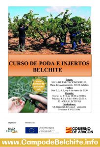 Curso de poda e injertos @ Belchite