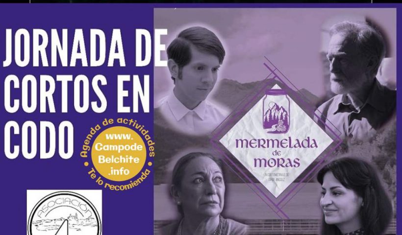Jornada de cortos en Codo