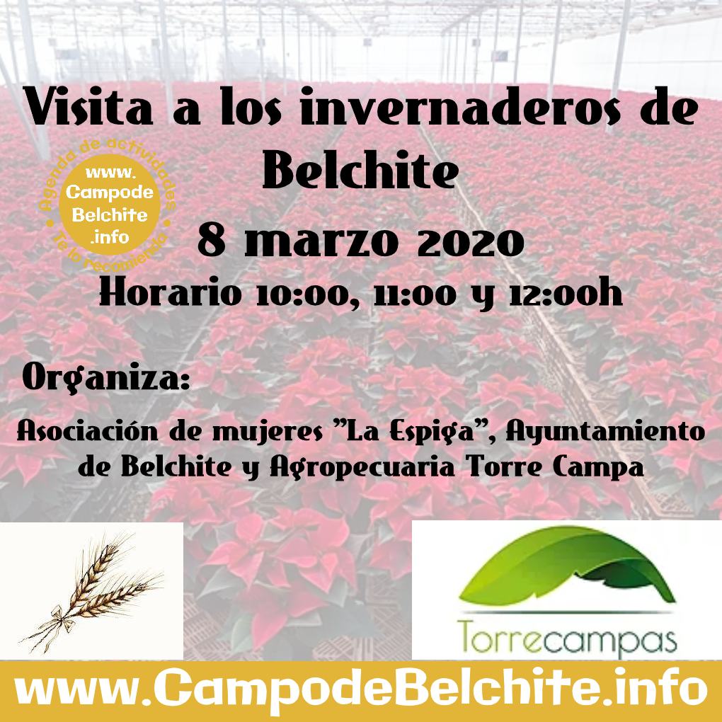 Visita a los invernaderos de Belchite