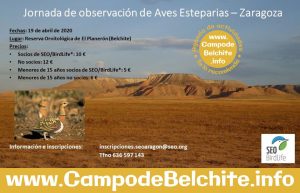 Observación de Aves Esteparias @ Reserva Ornitológica el Planerón (Belchite)