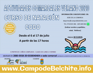 Curso de natación en Codo, del 6 al 17 de Julio @ Codo