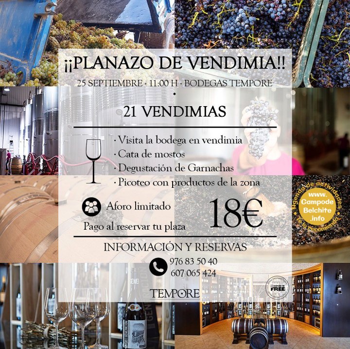 Visita a la Bodegas Tempore, catas y degustaciones